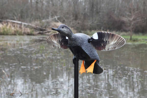 MOJO® Elite Series™ - Gadwall